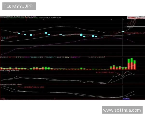 广州篮球队在钻石联赛中的强势表现与未来发展潜力分析